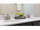 Bathroom featuring double sinks, modern faucets and a decorative plant adding a touch of freshness at 11381 Satire St, Orlando, FL 32832