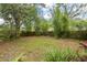 This backyard features a variety of tropical foliage and mature bamboo at 1307 Lindenwood Ln, Winter Park, FL 32792