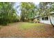 Sprawling backyard, featuring grass, mature trees, and lush bamboo at 1307 Lindenwood Ln, Winter Park, FL 32792