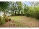 Backyard features a grassy area, tropical foliage, and mature trees at 1307 Lindenwood Ln, Winter Park, FL 32792