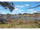 View of the community pond from the backyard with lush plants in the foreground at 2662 Hibiscus Ct, Deltona, FL 32738