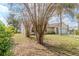 Lush front yard featuring mature landscaping around a cozy home with a two-car garage and appealing architectural design at 6385 Royal Tern St, Orlando, FL 32810