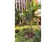 Beautiful courtyard with lush landscaping and vibrant plants in a well-maintained community at 12521 Floridays Resort Dr # 206F, Orlando, FL 32821