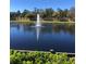 Water fountain spraying high into a pond with grass, shrubs, trees, and a long fence in the distance at 12521 Floridays Resort Dr # 206F, Orlando, FL 32821