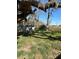 A view of a backyard with a shed and lots of grass at 36104 Emeralda Ave, Leesburg, FL 34788