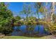 Serene backyard view overlooking a tranquil pond surrounded by lush greenery at 382 Frances Ave, Casselberry, FL 32707