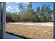 View of the large backyard with a mix of grassy and sandy areas, framed by tall trees at 41915 Aspen St, Eustis, FL 32736