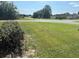 Open front yard with lawn at 6743 Sw 129Th St, Ocala, FL 34473