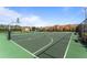 Community tennis and basketball court with a green surface and net fencing at 8900 Candy Palm Rd, Kissimmee, FL 34747