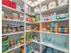 Organized pantry with ample shelving to store food and household supplies at 9918 Pallida Hickory Way, Winter Garden, FL 34787