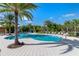 Serene community pool framed by swaying palm trees and lush landscaping under a bright blue sky at 2116 Limestone Trl, Kissimmee, FL 34747