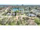 Overhead view of the neighborhood showcasing a lake and tree-lined streets at 11278 Papyrus Ln, Orlando, FL 32821