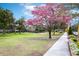 Beautiful park view with a sidewalk and blossoming pink Tabebuia tree on a sunny day at 1913 Woodcrest Dr # B, Winter Park, FL 32792