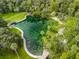 Aerial view of lake with beach and pool surrounded by mature trees and landscaping at 216 Springside Rd, Longwood, FL 32779