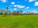 Expansive community green space with palm trees and colorful homes in the background, perfect for outdoor activities at 2927 Castaway Ln, Kissimmee, FL 34747