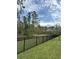 A lush green backyard enclosed by a sleek black fence and mature trees at 3587 Davenport Creek Ct, Kissimmee, FL 34746