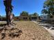 Charming single-story home with a well-maintained lawn and mature trees, offering a welcoming curb appeal at 1703 Doreen Ave, Ocoee, FL 34761