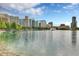 Picturesque lake view featuring swans swimming peacefully with modern buildings and blue sky in the background at 101 S Eola Dr # 1001, Orlando, FL 32801