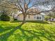 Expansive backyard featuring lush green grass and mature trees at 1121 Magnolia Blossom Ct, Apopka, FL 32712