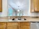 Close-up of the kitchen sink with granite countertop at 1121 Magnolia Blossom Ct, Apopka, FL 32712