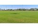 Vast green soccer field perfect for recreational activities and sports at 1546 Park Leah Cir, Apopka, FL 32712