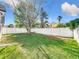 Spacious backyard with green grass and tall privacy fence providing a secure outdoor living space at 2229 Churchill Downs Cir, Orlando, FL 32825