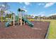 will enjoy the vibrant green playground surrounded by a safety mulch and a grassy area at 2865 Eastham Ln, Kissimmee, FL 34741