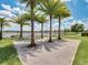 Serene backyard oasis with swaying palm trees, a cozy hammock, and tranquil lake views at 8742 European Fan Palm Aly, Winter Garden, FL 34787