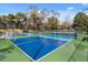 Well-maintained blue and green pickleball courts for recreational play, surrounded by lush greenery at 9308 Thurloe Pl, Orlando, FL 32827