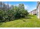 A view of the green backyard featuring satellite dishes surrounded by trees at 13801 Timberland Dr # 202, Orlando, FL 32824