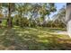 A grassy backyard with mature trees providing shade and privacy at 166 Marion Oaks Ln, Ocala, FL 34473