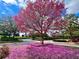 Beautiful community entrance featuring a mature pink flowering tree with a landscape covered in flowers at 7691 Heritage Crossing Way # C-1, Reunion, FL 34747