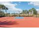 Outdoor basketball court surrounded by palm trees, ideal for sports and recreation within the community at 2282 Kaley Ridge Rd, Clermont, FL 34715