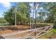 Expansive grassy yard featuring a mature tree and rustic wooden fencing at 5203 Pineview Way, Apopka, FL 32703