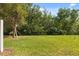 Grassy backyard with a large tree and wooded privacy at 10608 Savannah Plantation Ct, Orlando, FL 32832