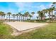 A well-maintained community sand volleyball court surrounded by swaying palm trees and lush green spaces at 130 Bloomingdale Dr, Davenport, FL 33897