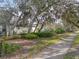 Charming street view featuring lush, mature trees with Spanish moss, sidewalk and well-maintained landscaping leading to inviting homes at 325 Bellingrath Terrace, Deland, FL 32724