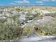 Exterior aerial view of a neighborhood street lined with homes and mature shade trees at 466 Ashley Brooke Ct # C, Apopka, FL 32712