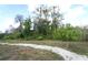 Yard showing trees and plant life plus a white stone path at 5136 Stratemeyer Dr, Orlando, FL 32839