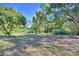 Spacious backyard featuring lush greenery, mature trees, and ample space at 16 Cedar Dr, Davenport, FL 33837