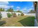 Backyard featuring green grass, a privacy fence, and mature shrubbery at 8519 Rainbow Ave, Orlando, FL 32825