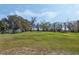 Expansive backyard featuring lush green grass and mature shade trees at 10320 Bumblebee Ln, Leesburg, FL 34788