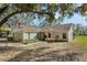 Charming single-story home with lush landscaping and inviting curb appeal nestled beneath a large, shady tree at 10320 Bumblebee Ln, Leesburg, FL 34788