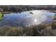Breathtaking aerial perspective of the beautiful lake with clear waters, bordered by lush green forest at 1343 Spring Lake Rd, Fruitland Park, FL 34731