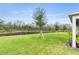 Spacious backyard with a serene pond view and newly planted trees at 3412 Yellowtop Loop, Clermont, FL 34714