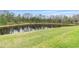 Picturesque pond with grassy shoreline and lush trees at 3412 Yellowtop Loop, Clermont, FL 34714
