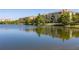 Scenic lake view surrounded by lush trees and the community's beautiful residential buildings on a sunny day at 5025 Shoreway Loop # 20503, Orlando, FL 32819