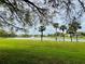 Scenic pond view with lush green grass and mature trees, enhancing the community's appeal at 450 Blue Smoke Ct, Lake Mary, FL 32746