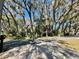An idyllic neighborhood street view featuring mature trees with spanish moss creating a shaded and inviting atmosphere at 171 Church St, Geneva, FL 32732