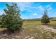 An expansive backyard area with lush green grass and scattered trees under a blue sky at 3632 Solana Cir # B, Clermont, FL 34711
